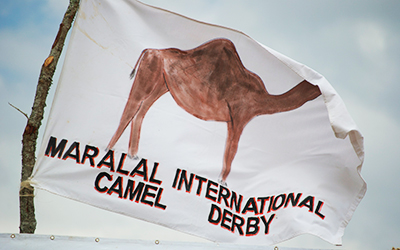 Flag with camel drawing waves in the wind