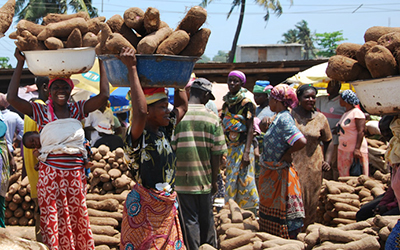 Ghanian women carry yams ontop of their heads at local market