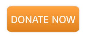 Donate Now button IMAGE