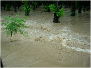 Flood in Costa Rica