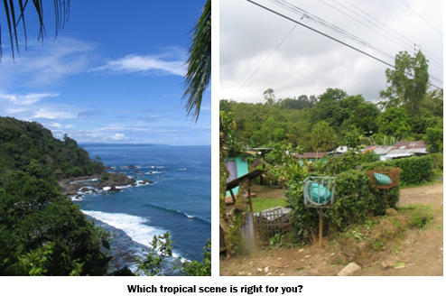 Which tropical scene works for you?