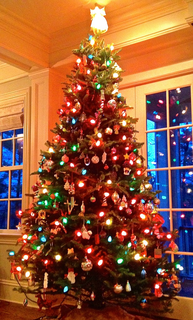 From Christmas to Diwali: Winter Holidays around the World - United