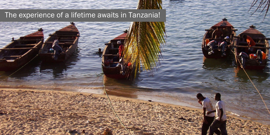 Experience of a lifetime in Tanzania