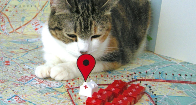 3D Google Map and Cat