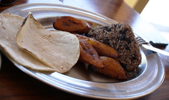 Gallo pinto